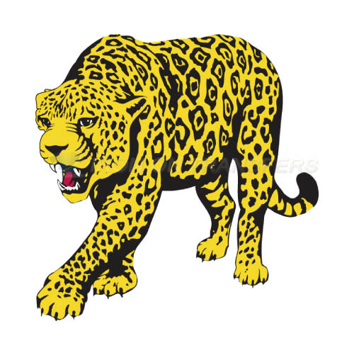 South Alabama Jaguars Logo T-shirts Iron On Transfers N6181